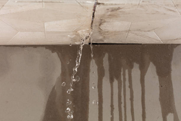 Professional Water Damage Repair technician working in Joshua, TX